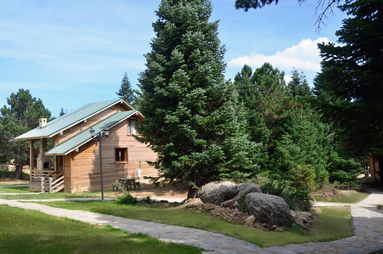 Uludag Orman Koskleri Villa บูร์ซา ภายนอก รูปภาพ